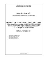 NGHIÊN CỨU ƯƠNG GIỐNG TÔM CÀNG XANH (Macrobrachium rosenbergii) BẰNG CÔNG NGHỆ BIOFLOC Ở CÁC MẬT ĐỘ KHÁC NHAU TỪ GIAI ĐOẠN PL10 ĐẾN PL40