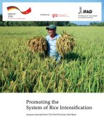 Promoting the System of Rice Intensification Lessons Learned from Trà Vinh Province, Viet Nam