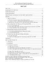 Báo cáo đánh giá tác động môi trường Nhà máy Chế biến Phế liệu Phế thải ngành Thủy sản