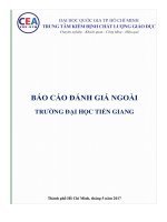 BÁO CÁO ĐÁNH GIÁ NGOÀI TRƯỜNG ĐẠI HỌC TIỀN GIANG
