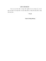 Phát triển năng lực tư duy phê phán cho học sinh trong dạy học hóa học lớp 10 chuyên hóa học trường THPT chuyên