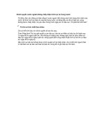 Chính quyền nước ngoài không chấp nhận trích lục án trong nước