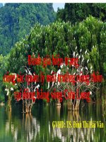 Đánh giá hiện trạng công tác quản lý môi trường nông thôn tại đồng bằng sông cửu long 