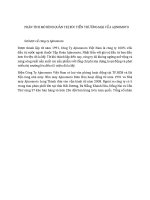 Phân tích mô hình quản trị xúc tiến thương mại của ajinomoto 