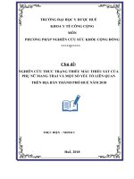 nghiên cứu thưc trạng thiếu máu thiếu sắt của phụ nữ mang thai và một số yếu tố liên quan trên địa bàn thành phố huế năm 2018 