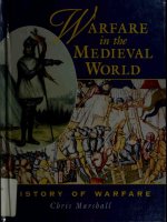 Warfare in the medieval world (history of warfare) 
