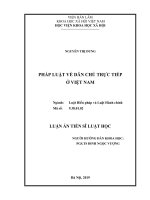 Pháp luật về dân chủ trực tiếp ở Việt Nam (Luận án tiến sĩ)