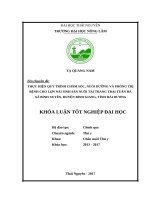 Thực hiện quy trình chăm sóc, nuôi dưỡng và phòng trị bệnh cho lợn nái sinh sản nuôi tại trại tuấn hà, xã bình xuyên   huyện bình giang   tỉnh hải dương 