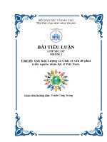 Quy luật lượng và chất về vấn đề phát triển nguồn nhân lực ở việt nam  