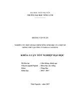 Nghiên cứu một số đặc điểm nông sinh học của một số giống chè tại công ty kolia cao bằng 