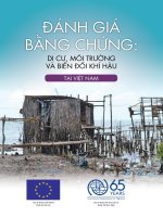 ĐÁNH GIÁ BẰNG CHỨNG: DI CƯ, MÔI TRƯỜNG VÀ BIẾN ĐỔI KHÍ HẬU TẠI VIỆT NAM