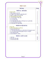 MỘT số KINH NGHIỆM GIÚP học SINH LUYỆN THI VIOLYMPIC TOÁN TRÊN INTERNET và NÂNG CAO CHẤT LƯỢNG môn TOÁN 6 TRONG NHÀ TRƯỜNG