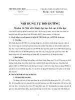 Modun 16 một số kĩ thuật dạy học tích cực ở tiểu học