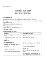 Giáo án Tiếng Việt 2 tuần 25 bài: Chính tả (Tập chép)  Sơn Tinh, Thủy Tinh. Phân biệt TRCH dấu hỏi dấu ngã