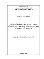 Kiểm soát rủi ro trong hoạt động của các ngân hàng thương mại Việt Nam theo hiệp ước Basel II (Luận án tiến sĩ)