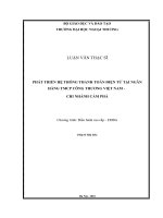 Phát triển hệ thống thanh toán  điện tử tại Ngân hàng TMCP Công Thương Việt Nam  Chi nhánh Cẩm Phả (Luận văn thạc sĩ)