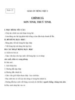 Giáo án Tiếng Việt 2 tuần 25 bài: Chính tả (Tập chép)  Sơn Tinh, Thủy Tinh. Phân biệt TRCH dấu hỏi dấu ngã