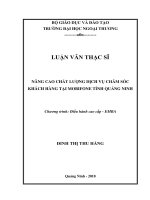 Thủ tục hải quan điện tử đối với hàng hóa xuất nhập khẩu tại Chi cục hải quan cảng Cái Lân – thực trạng và giải pháp (Luận văn thạc sĩ)