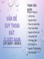 VẤN đề SUY THOÁI đất ở VIỆT NAM 