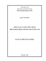 Pháp luật về an toàn thực phẩm trong hoạt động thương mại ở Việt Nam (Luận án tiến sĩ)