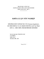 MÔ HÌNH CHĂN NUÔI KỲ ĐÀ VÂN (Varanus bengalensis),  KÝ SINH TRÙNG VÀ CÁC BỆNH THƢỜNG GẶP TẠI TRẠI  SƠN CA – HÓC MÔN, THÀNH PHỐ HỒ CHÍ MINH 