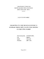 ẢNH HƯỞNG CỦA VIỆC BỔ SUNG SUNZYME VÀ  SUNPHASE TRONG THỨC ĂN LÊN TĂNG TRƯỞNG   GÀ THỊT CÔNG NGHIỆP   