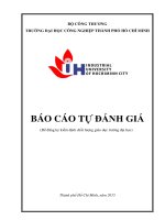 BÁO CÁO TỰ ĐÁNH GIÁ TRƯỜNG ĐẠI HỌC CÔNG NGHIỆP THÀNH PHỐ HỒ CHÍ MINH