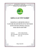 ẢNH HƯỞNG CỦA MÔI TRƯỜNG NUÔI CẤY   VÀ CHẤT ĐIỀU HÒA SINH TRƯỞNG LÊN SỰ NHÂN NHANH  RỄ TÓC SÂM NGỌC LINH (Panax vietnamensis)  ĐƯỢC CHUYỂN GENIN VITRO   