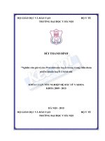 Nghiên cứu giá trị của procalcitonin huyết tương trong chẩn đoán nhiễm khuẩn huyết ở bệnh nhi 