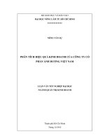 PHÂN TÍCH HIỆU QUẢ KINH DOANH CỦA CÔNG TY CỔ  PHẦN ÁNH DƯƠNG VIỆT NAM 