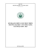 KẾ HOẠCH CHIẾN LƯỢC PHÁT TRIỂN TRƯỜNG ĐẠI HỌC Y TẾ CÔNG CỘNG GIAI ĐOẠN 2018 - 202