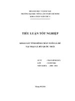 TIỂU LUẬN TỐT NGHIỆP KHẢO SÁT TÌNH HÌNH CHĂN NUÔI GÀ ĐẺ TẠI TRẠI GÀ BÙI QUỐC THÁI