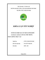   ĐÁNH GIÁ HIỆU QUẢ SỬ DỤNG SINH KHỐI   Acetobacter xylinum LÀM GIÁ THỂ TRONG   NHÂN GIỐNG THỰC VẬT 
