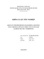 KHẢO SÁT TÌNH HÌNH BỆNH DA DO DEMODEX, SARCOPTES, NẤM VÀ BỆNH DA LIÊN QUAN THIỂU NĂNG TUYẾN GIÁP  TẠI BỆNH VIỆN THÚ Y MODERN PET   