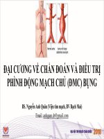 ĐẠI CƯƠNG VỀ CHẨN ĐOÁN VÀ ĐIỀU TRỊ PHÌNH ĐỘNG MẠCH CHỦ (ĐMC) BỤNG