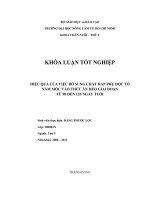 HIỆU QUẢ CỦA VIỆC BỔ SUNG CHẤT HẤP PHỤ ĐỘC TỐ   NẤM MỐC VÀO THỨC ĂN HEO GIAI ĐOẠN   TỪ 90 ĐẾN 135 NGÀY TUỒI 
