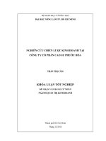 NGHIÊN CỨU CHIẾN LƯỢC KINH DOANH TẠI  CÔNG TY CỔ PHẦN CAO SU PHƯỚC HÒA 