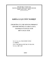   ẢNH HƯỞNG CỦA VIỆC BỔ SUNG PRIMOS 25  LÊN SINH TRƯỞNG CỦA HEO CAI SỮA  GIAI ĐOẠN TỪ 28 NGÀY TUỔI  ĐẾN 72 NGÀY TUỔI 