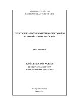 PHÂN TÍCH HOẠT ĐỘNG MARKETING  MIX TẠI CÔNG  TY CỔ PHẦN CAO SU PHƯỚC HÒA 