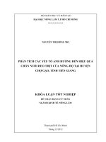 PHÂN TÍCH CÁC YẾU TỐ ẢNH HƯỞNG ĐẾN HIỆU QUẢ  CHĂN NUÔI HEO THỊT CỦA NÔNG HỘ TẠI HUYỆN  CHỢ GẠO, TỈNH TIỀN GIANG   