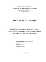 ẢNH HƯỞNG CỦA VIỆC BỔ SUNG AXIT BENZOIC  TRONG THỨC ĂN ĐẾN KHẢ NĂNG TĂNG TRƯỞNG VÀ  SỨC KHỎE CỦA HEO CON SAU CAI SỮA 