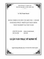 Luận văn thạc sĩ Hoàn thiện cơ chế cân đối thuchi đảm bảo phát triển Quỹ bảo hiểm thất nghiệp tại Việt Nam