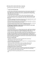 Đối tượng và thủ tục cấp hộ chiếu công vụ