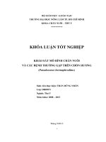   KHẢO SÁT MÔ HÌNH CHĂN NUÔI   VÀ CÁC BỆNH THƯỜNG GẶP TRÊN CHỒN HƯƠNG  (Paradoxurus hermaphroditus) 