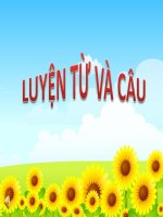 Bài giảng Luyện từ và câu tuần 20  lớp 5