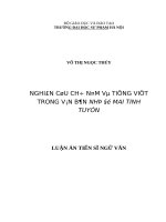Nghiên cứu chữ nôm và tiếng việt trong văn bản nhị độ mai tinh tuyển