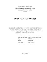   ẢNH HƯỞNG CỦA VIỆC BỔ SUNG ENZYME PHYTASE  TRONG THỨC ĂN LÊN KHẢ NĂNG TĂNG TRƯỞNG  CỦA GÀ THỊT CÔNG NGHIỆP   