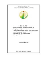 BÀI GIẢNG Học phần: Đƣờng lối quốc phòng và an ninh của Đảng Cộng sản Việt Nam