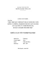 Thực hiện quy trình chăm sóc nuôi dưỡng và phòng trị bệnh cho đàn lợn nái sinh sản tại trại công ty TNHH phương hà, huyện cẩm khê   tỉnh phú thọ 