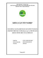 TÁCH DÒNG, TẠO PLASMID MANG GEN EPSPS ỨNG DỤNG CHO PHÁT HIỆN ĐẬU NÀNH (Glycine max L.) CHUYỂN GEN KHÁNG THUỐC DIỆT CỎ GLYPHOSATE    